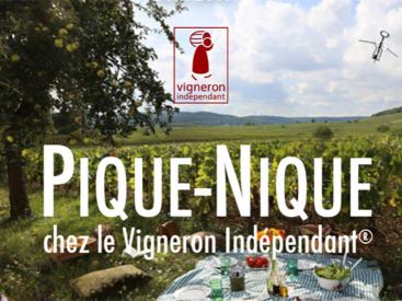 Pique-Nique chez le Vigneron Indépendant