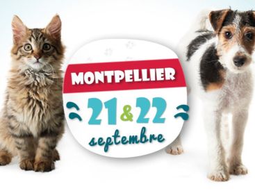 Salon du Chiot (et quelques chatons) au Parc des Expos de Montpellier