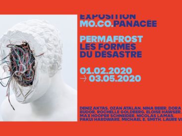 Permafrost Les Formes du Désastre - Exposition au MO.CO. Montpellier Contemporain