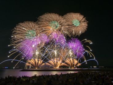 Les Nuits d'Or à La Grande Motte