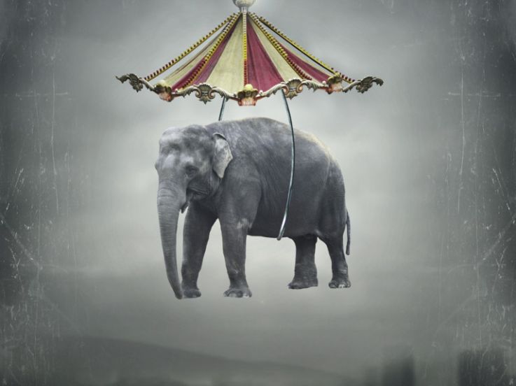 Phénomène Montpellier