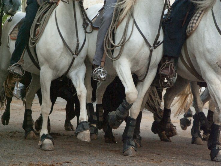 Mini Féria 2018 à St Gély-du-Fesc