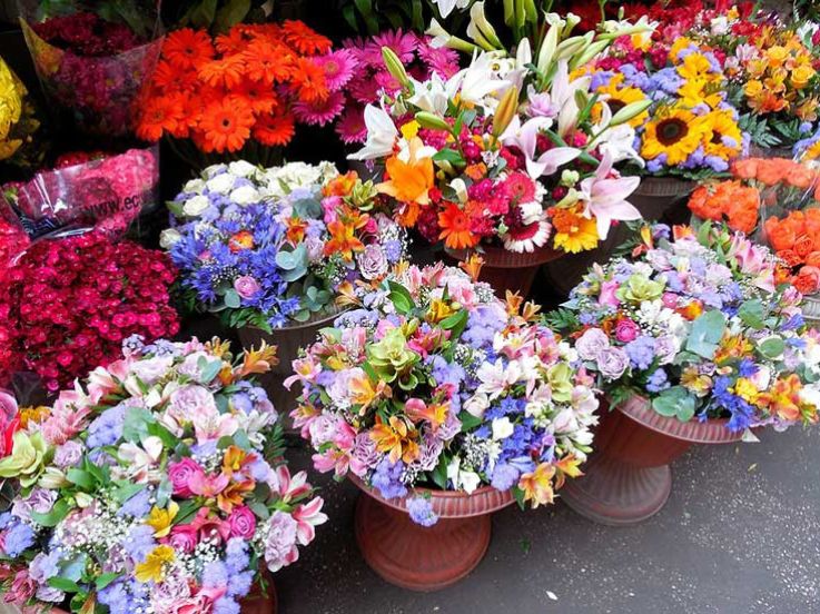 Fleurs en Fête à Pignan