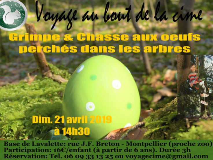 Chasse aux œufs perchée dans les arbres de la forêt de Lavalette