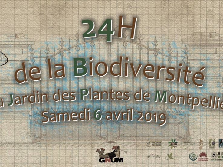 Les 24h de la Biodiversité au Jardin des Plantes de Montpellier