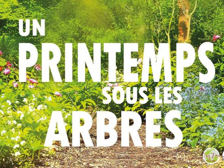Un Printemps sous les Arbres