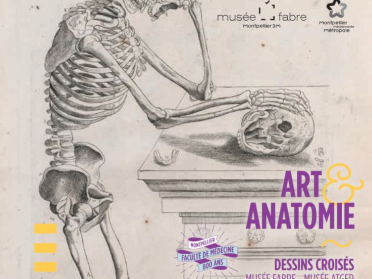 Art et Anatomie - Dessins Croisés Musée Fabre / Musée Atger