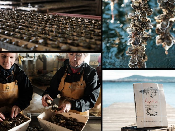 Expérience de rêve : adoptez vos huîtres pendant un an !