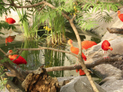 Serre Amazonienne Montpellier