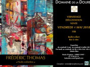 Exposition Nuits Colorées Frédéric Thomas