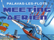 Meeting Aérien de la Patrouille de France 