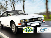 Rassemblement de voitures anciennes