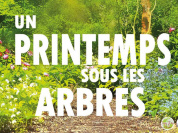 Un Printemps sous les Arbres