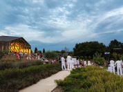 Les Estivales de Viavino