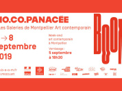 Drawing Room devient BOOM - Salon du Dessin Contemporain de Montpellier