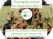 Marché de Producteurs à Baillargues - Fromagora 2019