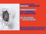 Permafrost Les Formes du Désastre - Exposition au MO.CO. Montpellier Contemporain