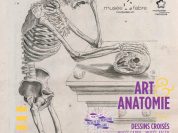 Art et Anatomie - Dessins Croisés Musée Fabre / Musée Atger