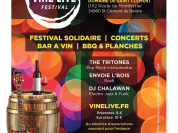 VineLive Festival Winter Edition 2022