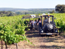 Le Petit train des Vignes