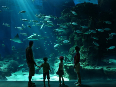 Aquarium Mare Nostrum