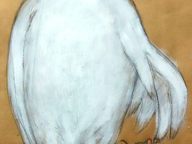 HIBOU BLANC ET SOURIS BLEUE