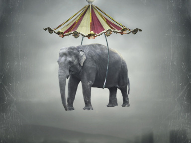 Phénomène Montpellier