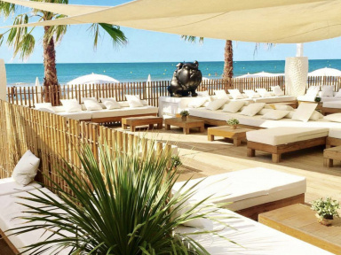 Plage La Paillote Bambou