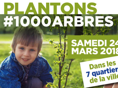 Plantons #1000 Arbres