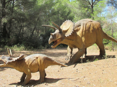 Musée des Dinosaures et de la Préhistoire de Mèze
