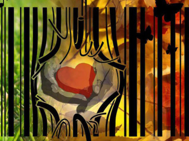 Gratiféria d'été à Lemasson - Un marché aux puces gratuit et sans contrepartie