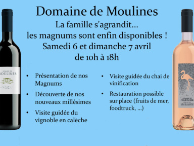 Dégustation de Vins au Domaine de Moulines à Mudaison