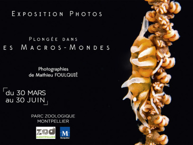 Exposition Plongées dans les Macros-Mondes au Zoo du Lunaret