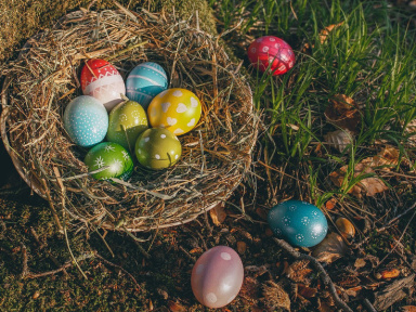 Grande Chasse aux œufs du Secours Populaire au Domaine d'O