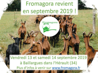 Marché de Producteurs à Baillargues - Fromagora 2019