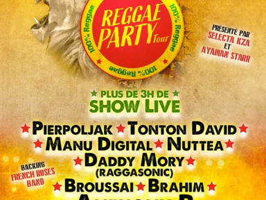 Reggae Party Tour