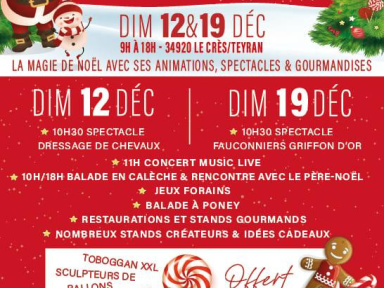 Le Grand Marché de Noël au Mas du Pont