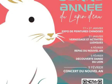 Festivités du Nouvel An Chinois à Montpellier