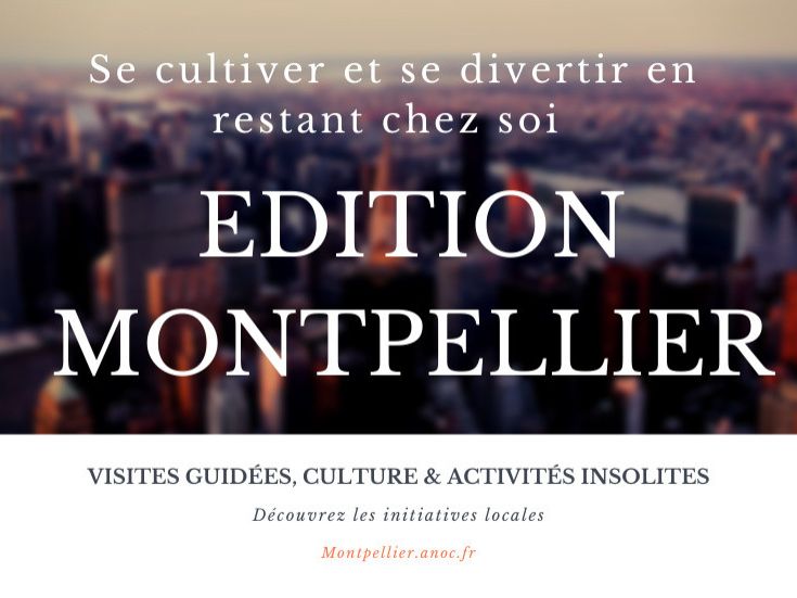 Se cultiver et se divertir en restant chez soi - Edition Montpellier