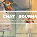 Le Chat Gourmand Montpellier - Salon de Thés & Repaire à Chats