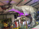 Exposition Le Monde des Dinosaures