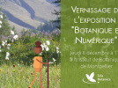 Exposition Botanique et Numérique
