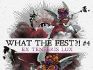 What The Fest ?! #4