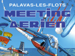 Meeting Aérien de la Patrouille de France 