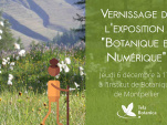 Exposition Botanique et Numérique