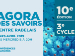 L'Agora des Savoirs - Cycle 3