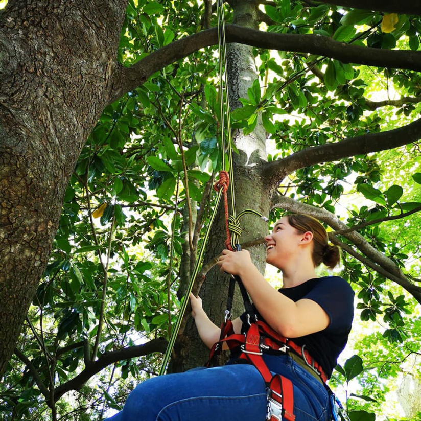 Sortie découverte Grimpe aux arbres
