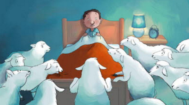 La chouette entre veille et sommeil - Cinéma à partir de 3 ans