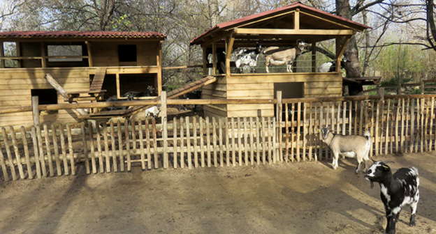 Que faire avec ses enfants à Montpellier