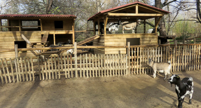 Que faire avec ses enfants à Montpellier